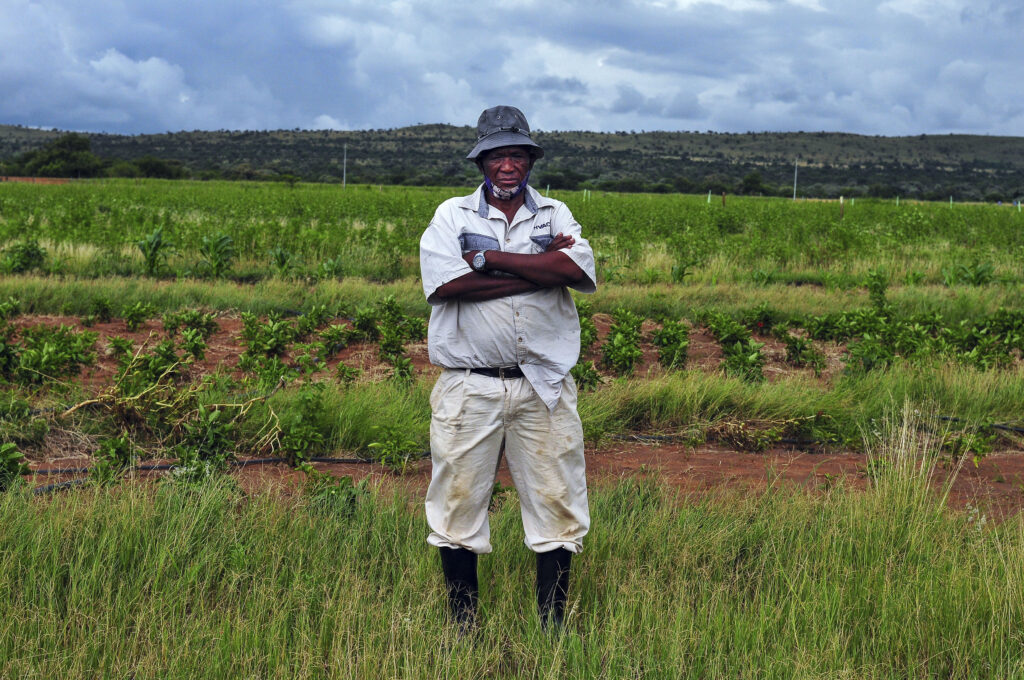 Farmer and land claim beneficiary Petrus Tlhangi Mmako is worried about the impact of the invasions on his farming operation. Photo: Lucas Ledwaba/Mukurukuru Media